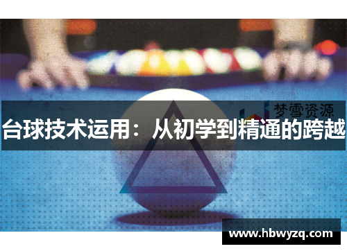 台球技术运用：从初学到精通的跨越